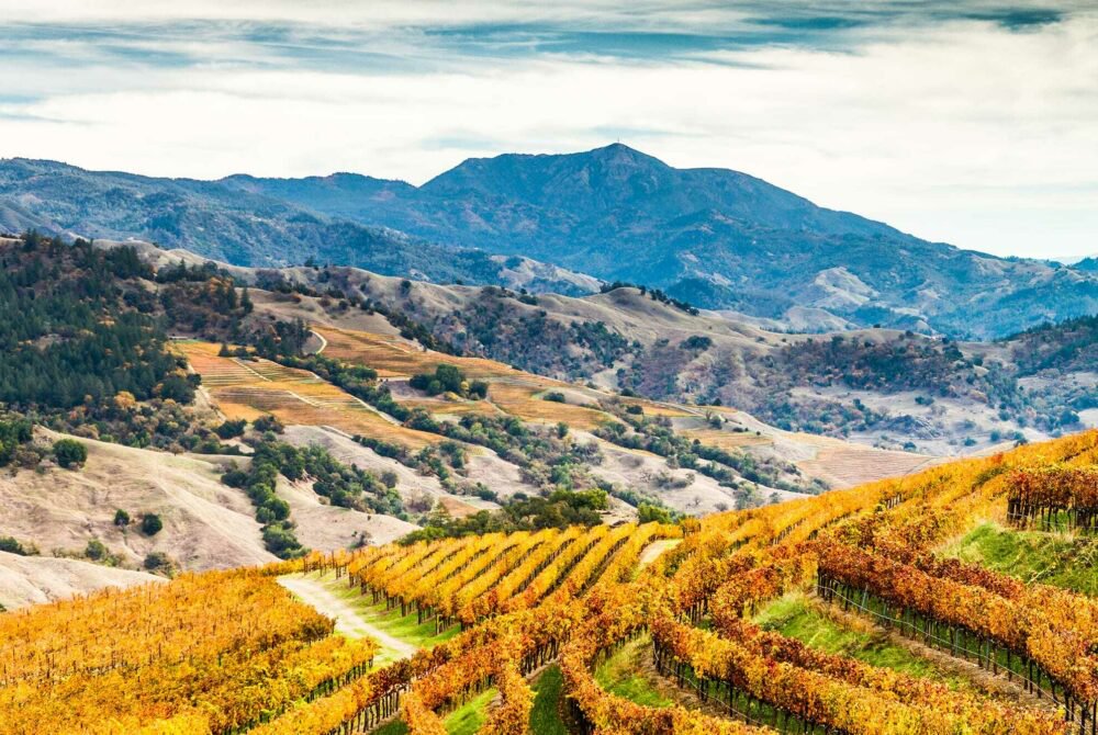 Sonoma County Outdoor View of Rolling Hills and Vineyards