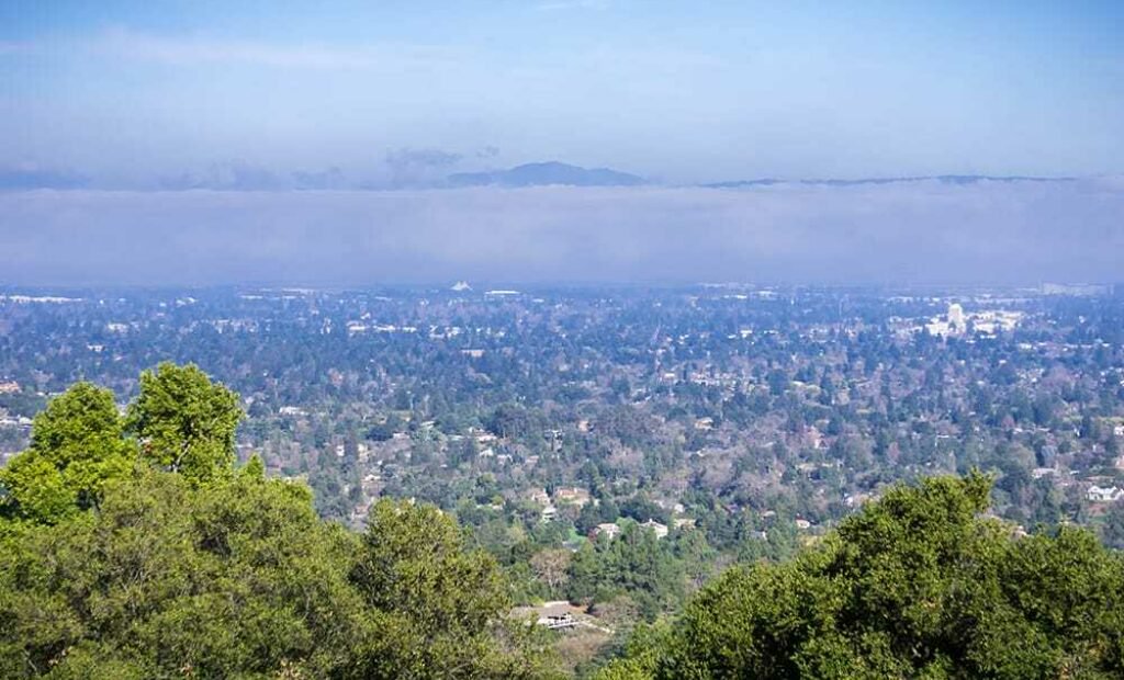 Aerial view of trees and city of Los Altos near Exchange Bank Los Altos location.